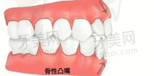 门诊地址