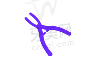 总结