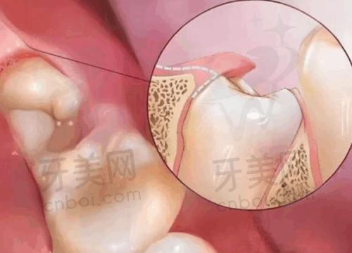 主要业务与正畸优势