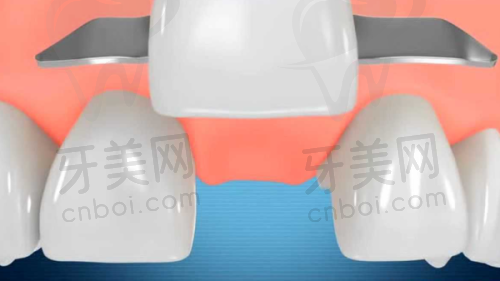 全科覆盖与特色项目