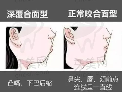 品牌与分公司情况