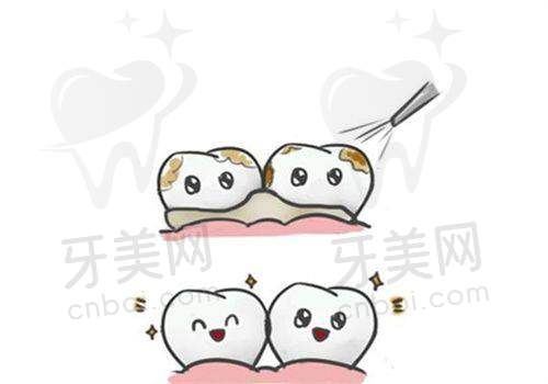 成都君臣口腔各门店地址及交通信息